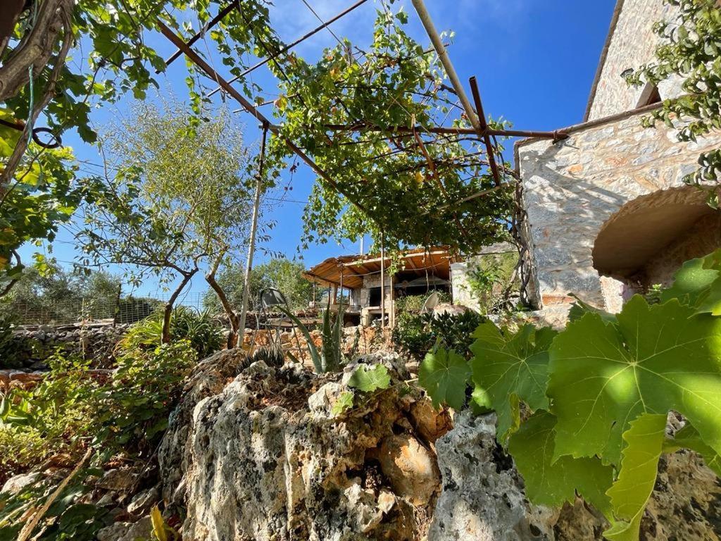 Find Your Peace In A Traditional Country House!! Láyia 外观 照片