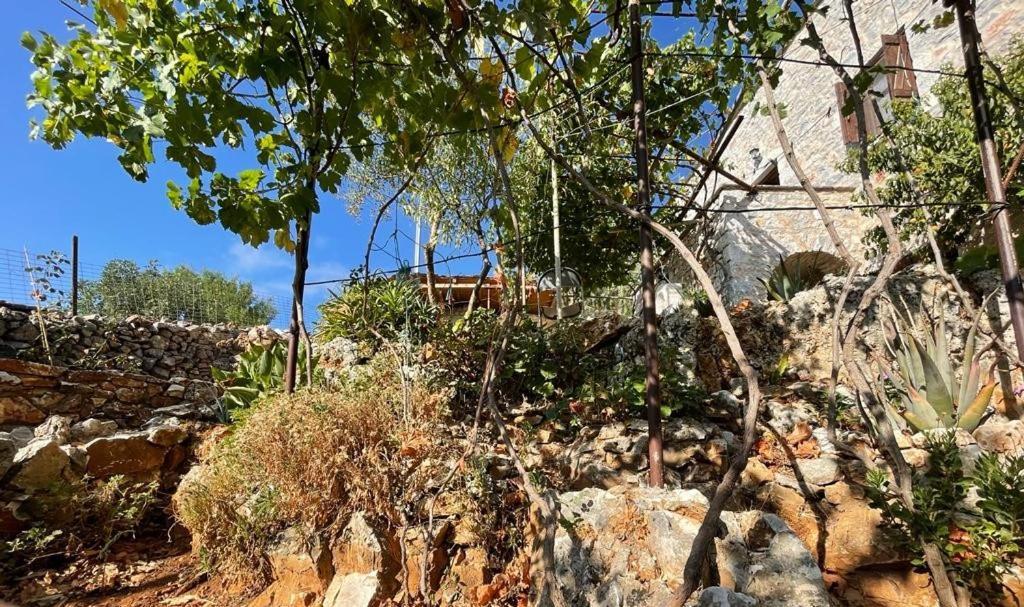 Find Your Peace In A Traditional Country House!! Láyia 外观 照片