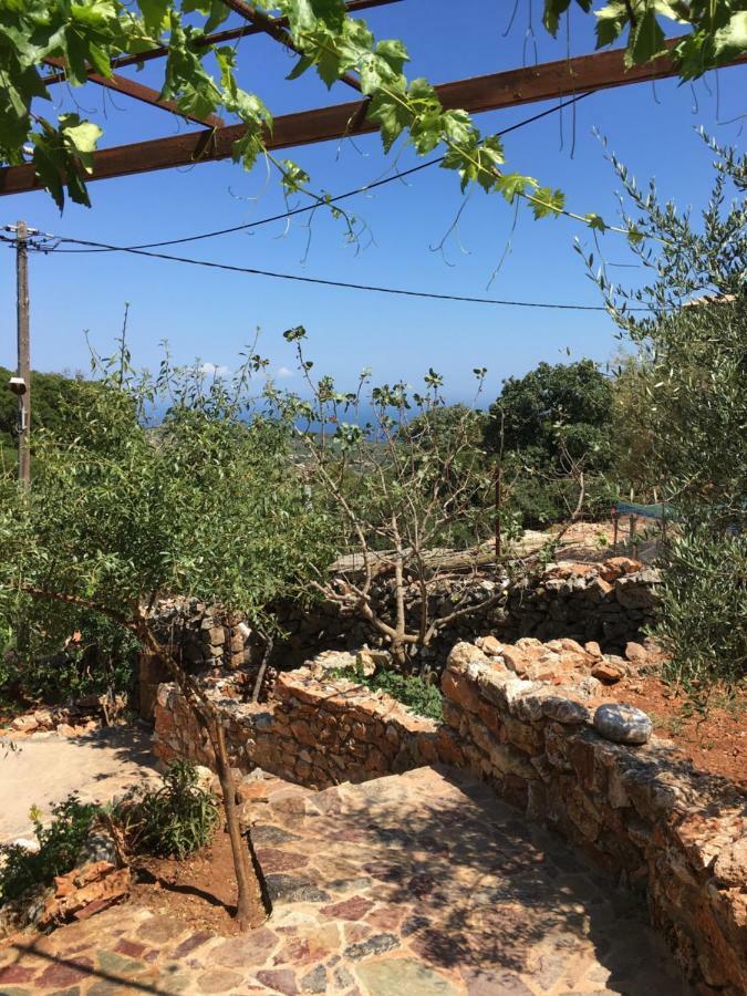 Find Your Peace In A Traditional Country House!! Láyia 外观 照片